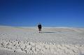 20081031 white sands 001